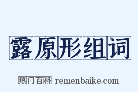 露原形组词是什么意思的图片